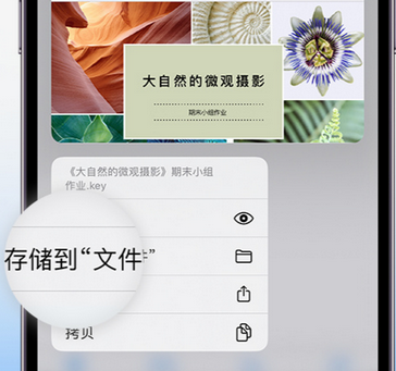 新华apple维修中心分享iPhone文件应用中存储和找到下载文件