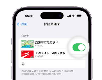 新华apple维修点分享iPhone上更换Apple Pay快捷交通卡手绘卡面 