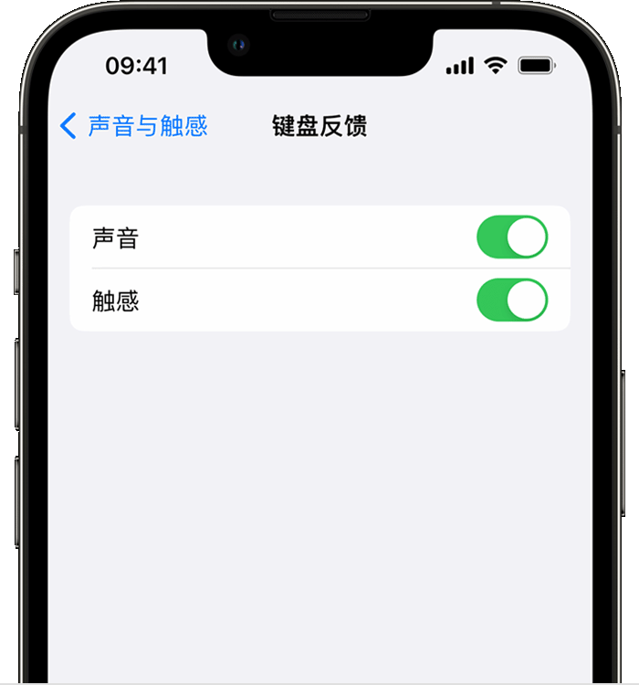 新华苹果14维修店分享如何在 iPhone 14 机型中使用触感键盘 