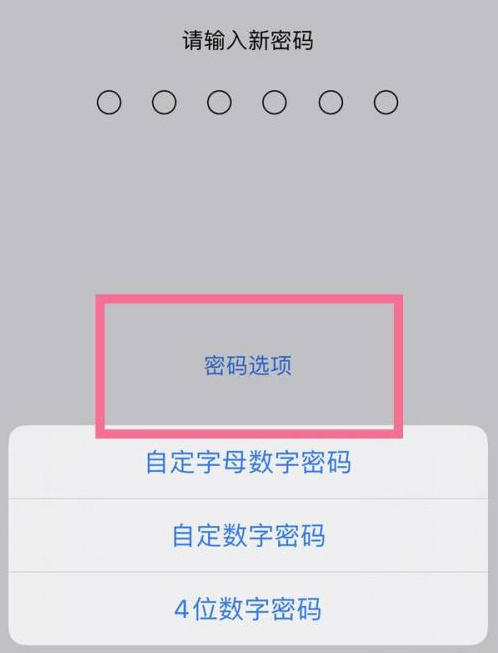 新华苹果14维修分享iPhone 14plus设置密码的方法 