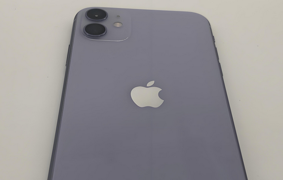 新华苹果11系统维修分享iPhone11手机系统崩溃无法开机如何解决